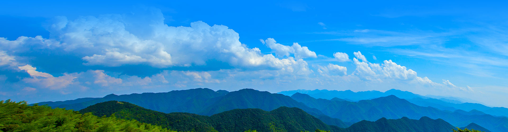 ������Ϣ�e������